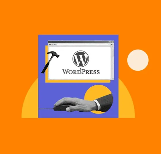 WordPress Website Setup and Consulting